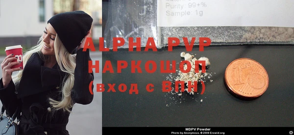 крисы Абаза