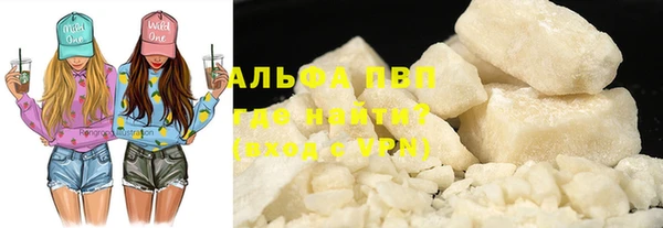 индика Абинск
