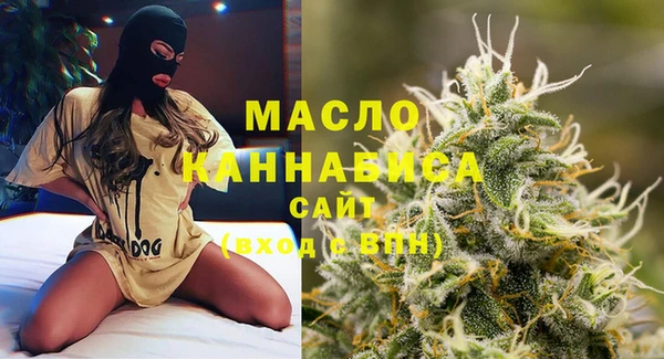 индика Абинск