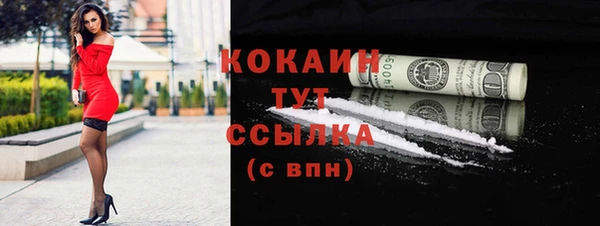 крисы Абаза