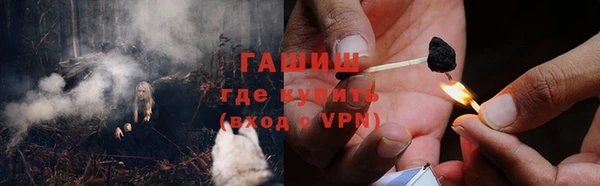 крисы Абаза