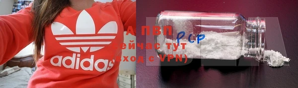 индика Абинск
