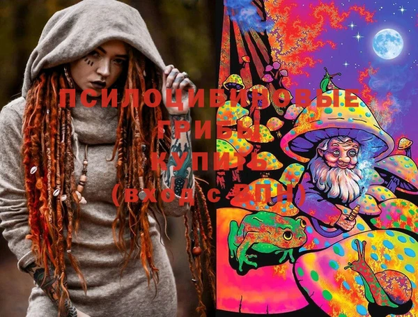 крисы Абаза