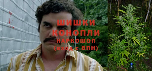 крисы Абаза