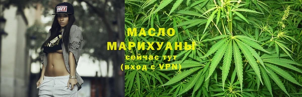 индика Абинск