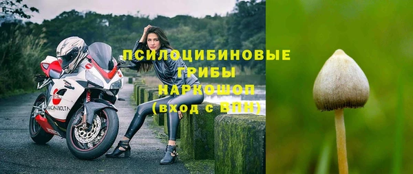 крисы Абаза