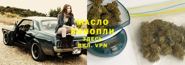 индика Абинск