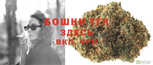крисы Абаза