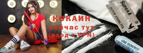 крисы Абаза