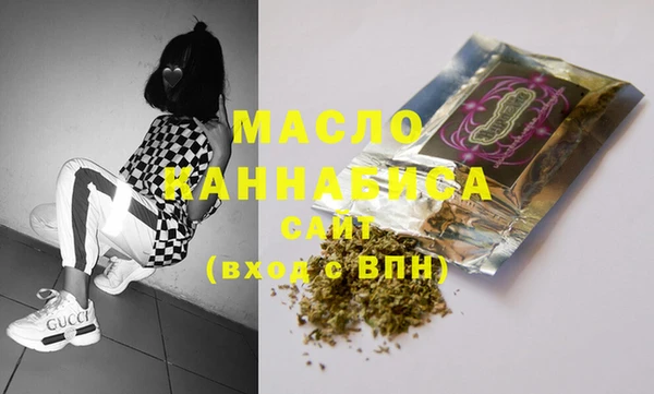 индика Абинск