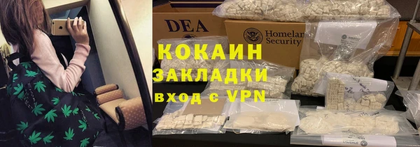 крисы Абаза